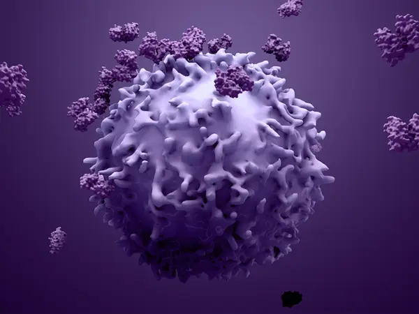 Antibody therapy